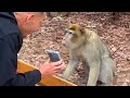 Monkeys reacting to magic for the first time new funniest animals