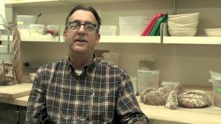 Bread Lab - Living Grain