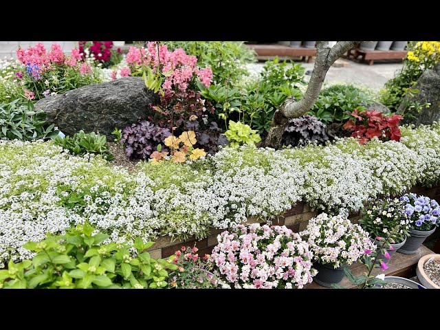 ◇Garden's [Live broadcast from the flower field] - YouTube