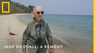 Jane Goodall: A remény április 22-én szerdán 21:00-kor | National Geographic