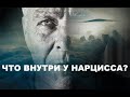 ЧТО НАХОДИТСЯ ПОД НАРЦИССИЧЕСКОЙ КОНСТРУКЦИЕЙ?