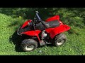 Are Chinese ATVs Junk? - 5 year review