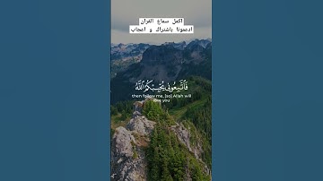 تلاوة خاشعة ومؤثرة جداً للقرآن الكريم ، و الله غفور رحيم #قران_كريم #quran #قرآن #آيات #تلاوه #حالات