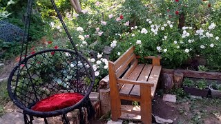 Мой Красный уголок,  или "аквариум" с хостами🌿🌹🌿