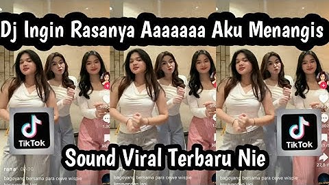 DJ INGIN RASANYA AAAAAAAA AKU MENANGIS SOUND VIRAL TIKTOK TERBARU YANG KALIAN CARI NIE