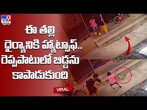 Viral: ఈ తల్లి ధైర్యానికి హ్యాట్సాఫ్‌..రెప్పపాటులో బిడ్డను కాపాడుకుంది @TV9 Telugu Digital