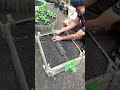 Brilliant Tomato Plant Layering Trick for Endless Harvests! 🍅