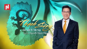 Thạch Sùng Tặc Lưỡi Vì Tiếc Của - Nguyễn Ngọc Ngạn