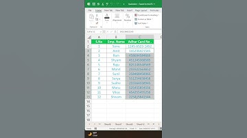 Excel Tutorial How to Add a minus  ( -) sign Before Aa Aadhar Number  #exceltips  #computer