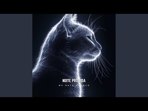 Noite Proibida