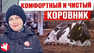 6 популярных видов подстилки для коров | Содержание КРС | Молочное животноводство