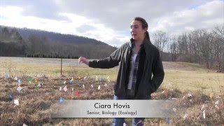 PubHub | Undergraduate Students | This is How I Do Research!