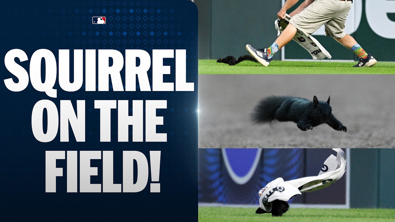 7/30/26 - Lease an Apple, Grilling, and Squirrel on the Field!