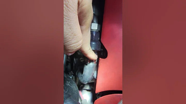 C5 ZO6 Air Check Valve Cleaning