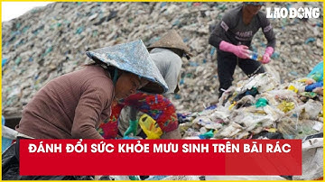 Đánh đổi sức khỏe mưu sinh trên bãi rác| Báo Lao Động