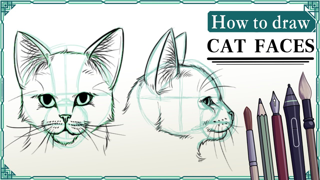 How to draw Angry Cat Face 