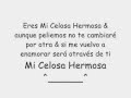Mi Celosa Hermosa Letra - Felipe Pelaez