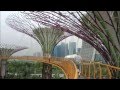 Supertree Grove & OCBC Skyway @ Gardens by the Bay