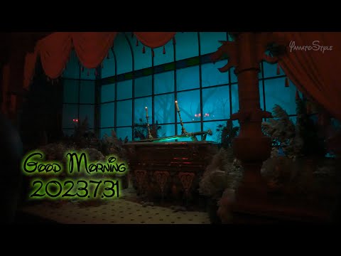 Every Morning 30sec Disney 2023.7.31