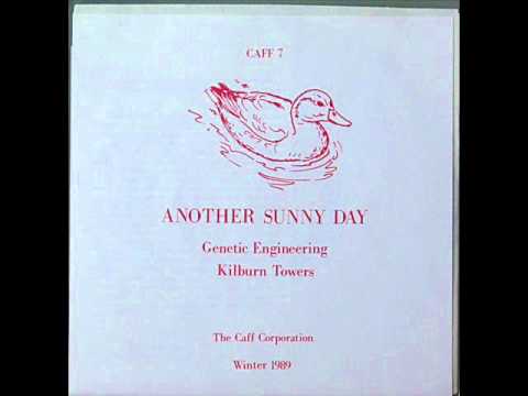 Another Sunny Day — Another Sunny Day - Genetic Engineering