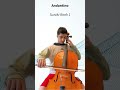 Suzuki Cello Book 1 – Song 12: Andantino