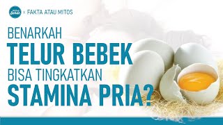 Apa Benar Telur Bebek Bisa Mencegah Ejakulasi Dini? | Hidup Sehat tvOne