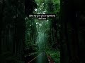 Nature lover #shorts #subscribe