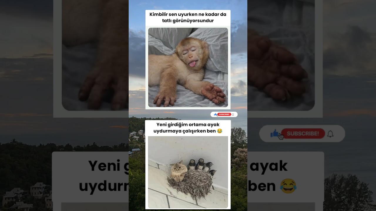 Sormayın biraz fazla tatlı görünüyorum