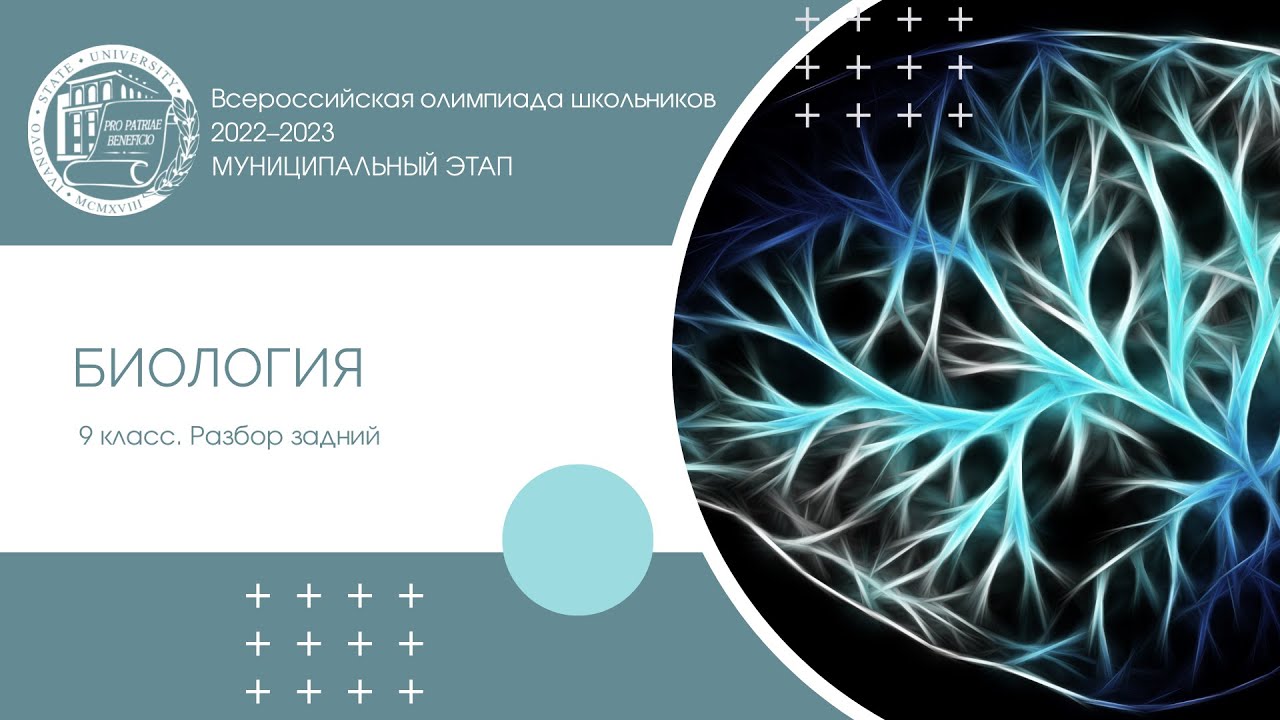 Муниципальный этап 2022–2023 уч.г. Биология. 9 класс. Разбор заданий ...