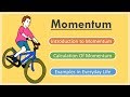 What is Momentum? Examples of Momentum in Everyday Life (In English)