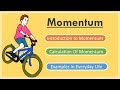 Momentum: Exploring Mass, Velocity, and Their Impact on Motion