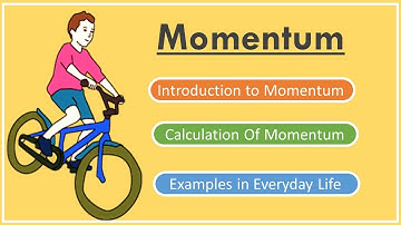 What is Momentum? Physics