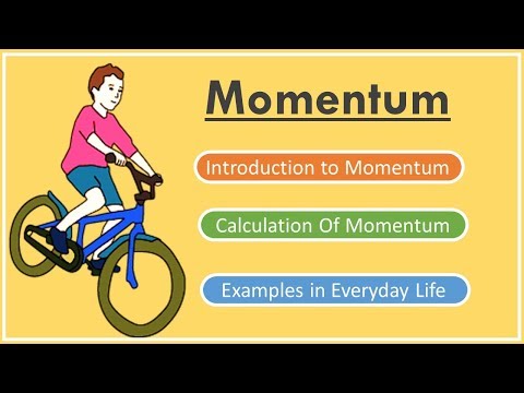 What is Momentum? Physics