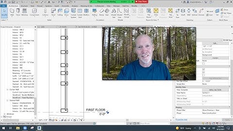 NEW CURTAIN WALL MULLIONS: custom shape from scratch