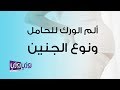 ألم الورك للحامل ونوع الجنين