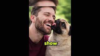Things Dogs Do That Actually Mean Something 🐕👀 #dogs #dogtips #doglove #animals #shorts  