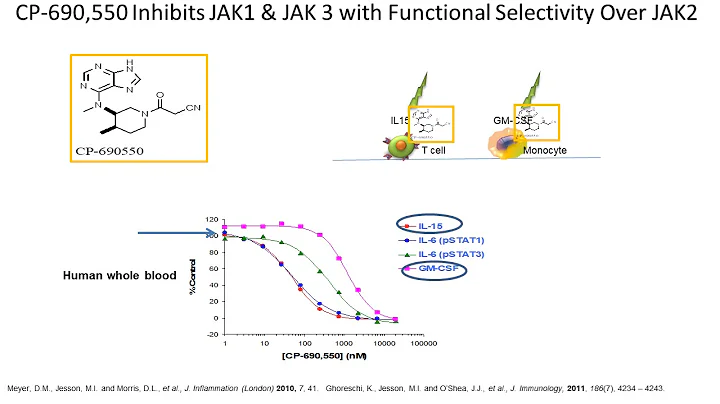 CYTOKINE SIGNALING Are all JAK inhibitors the same?