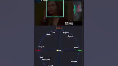 Realtime Detection of feelings in the video using AI.