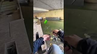 This Boy Catches Fish In The River At 1200 Noon