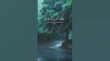 سورة  الاعلى     .