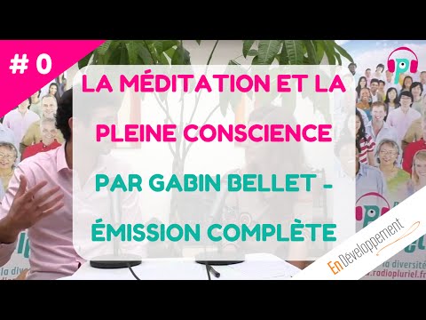 Vidéo: Réflexion (la Pleine Conscience)