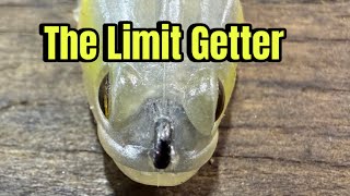 The Quickest Way To Catch A Limit Of Bass…