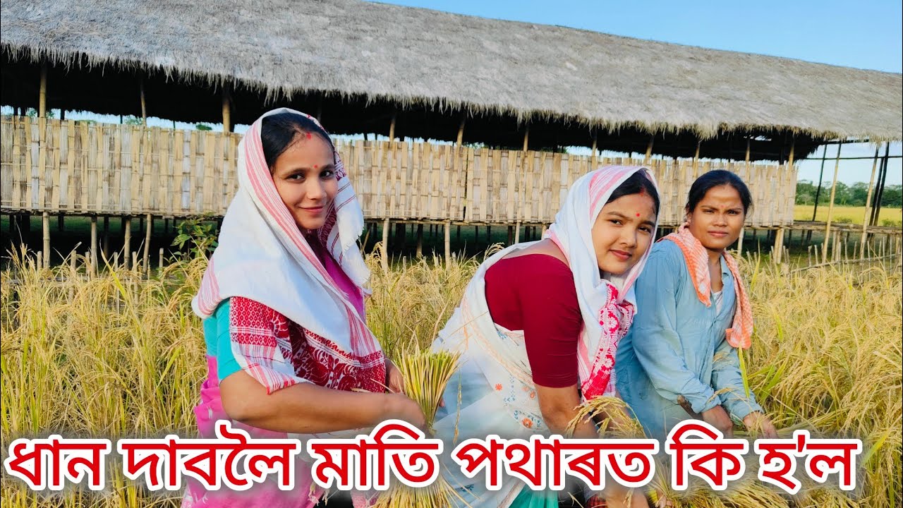 বোৱাৰীয়ে শাহুৱেকক ধান দাবলৈ পঠিয়ালে//Assamese comedy video//Sahu Buwari