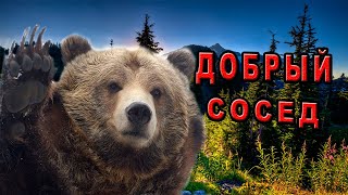 История таёжной жизни по соседству с медведем!