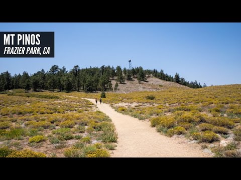 Hiking Mt Pinos: The Tallest Point in Ventura County