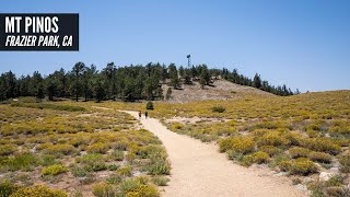 Hiking Mt Pinos: The Tallest Point in Ventura County screenshot 3