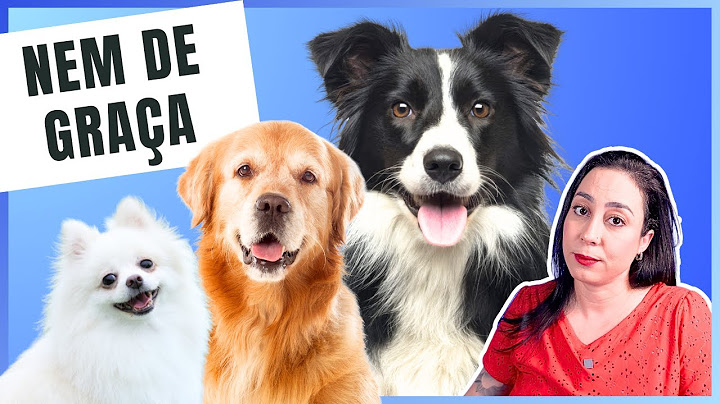 6 Dog Breeds I WOULDN'T HAVE (Updated!!!)