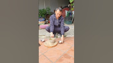 bải thuốc xơ cứu rắn độc cắn #shorts