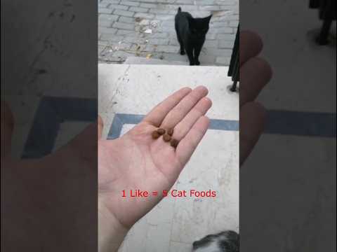 1 Like = 5 Cat Foods 🐾 Feeding Stray Cats!
