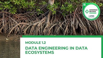 Data Engineering vs. Data Analysis vs. Data Science | Understanding the Key Differences